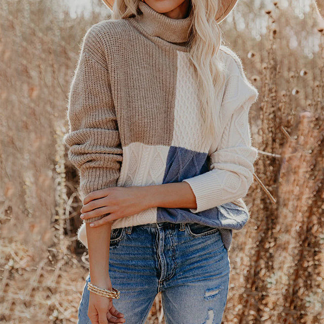 Contrast Color Turtleneck Sweater