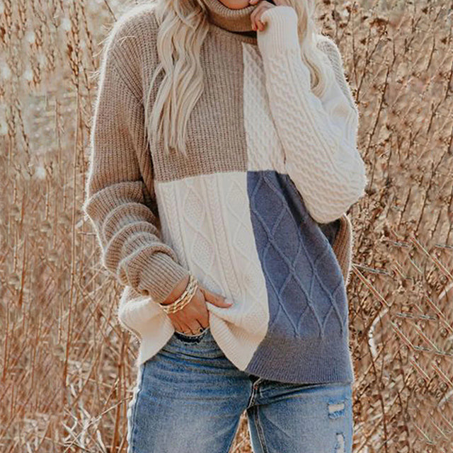 Contrast Color Turtleneck Sweater